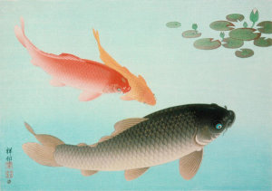 Ohara Shōson - Common and Golden Carp, 1935
