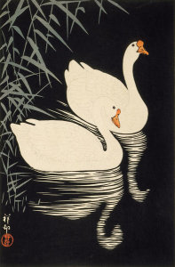 Ohara Shōson - White Chinese Geese Swimming by Reeds, 1928