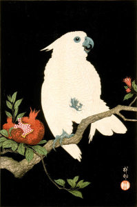 Ohara Shōson - Cockatoo and Pomegranate, circa 1927
