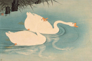 Ohara Shōson - White Chinese Geese amid Reeds, 1928