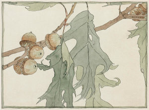 Hannah Borger Overbeck - Oak/Acorns, circa 1915