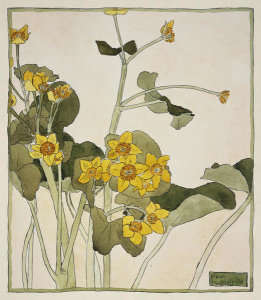 Hannah Borger Overbeck - Marsh Marigold, circa 1915