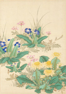 Okamoto Shūki - Meadow Flowers, from 'Pictures of Flowers and Birds' (Kachō zu), 19th century