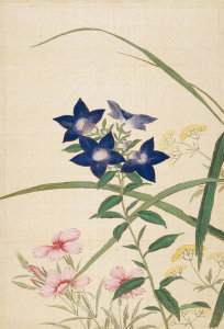 Okamoto Shūki - Wildflowers, from 'Pictures of Flowers and Birds' (Kachō zu), 19th century