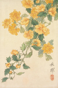 Okamoto Shūki - Yellow Flowers, from 'Pictures of Flowers and Birds' (Kachō zu), 19th century