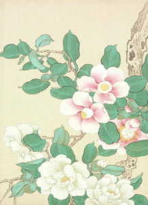 Okamoto Shūki - Wild Roses, from 'Pictures of Flowers and Birds' (Kachō zu), 19th century