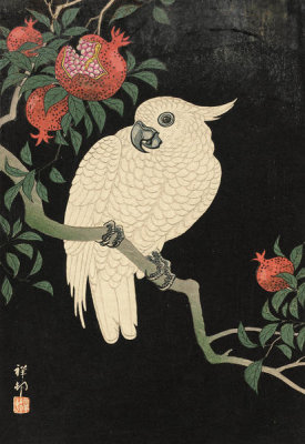 Ohara Shōson - Cockatoo and Pomegranate, 20th century