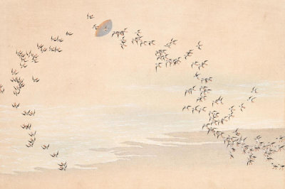 Kamisaka Sekka - Chigusa (A Thousand Grasses) - 10, 1900
