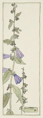 Hannah Borger Overbeck - Bell Flower, circa 1915