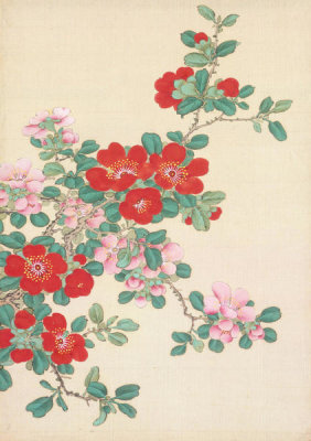 Okamoto Shūki - Red and Pink Flowers, from 'Pictures of Flowers and Birds' (Kachō zu), 19th century
