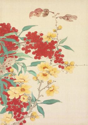 Okamoto Shūki - Plum Flowers and Winter Berries, from 'Pictures of Flowers and Birds' (Kachō zu), 19th century