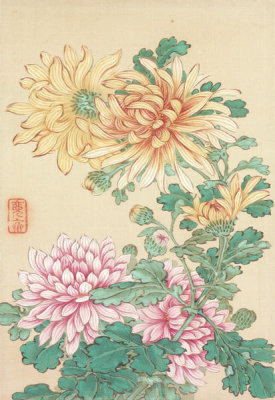 Okamoto Shūki - Chrysanthemums, from 'Pictures of Flowers and Birds' (Kachō zu), 19th century